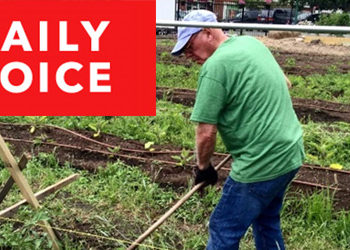 Fairgate Farm featured in Daily Voice