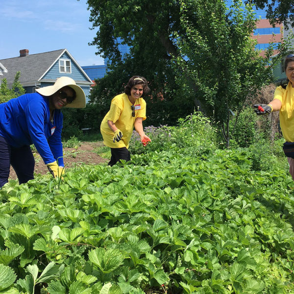Fairgate Farm Strawberry Festival June 10, 2017