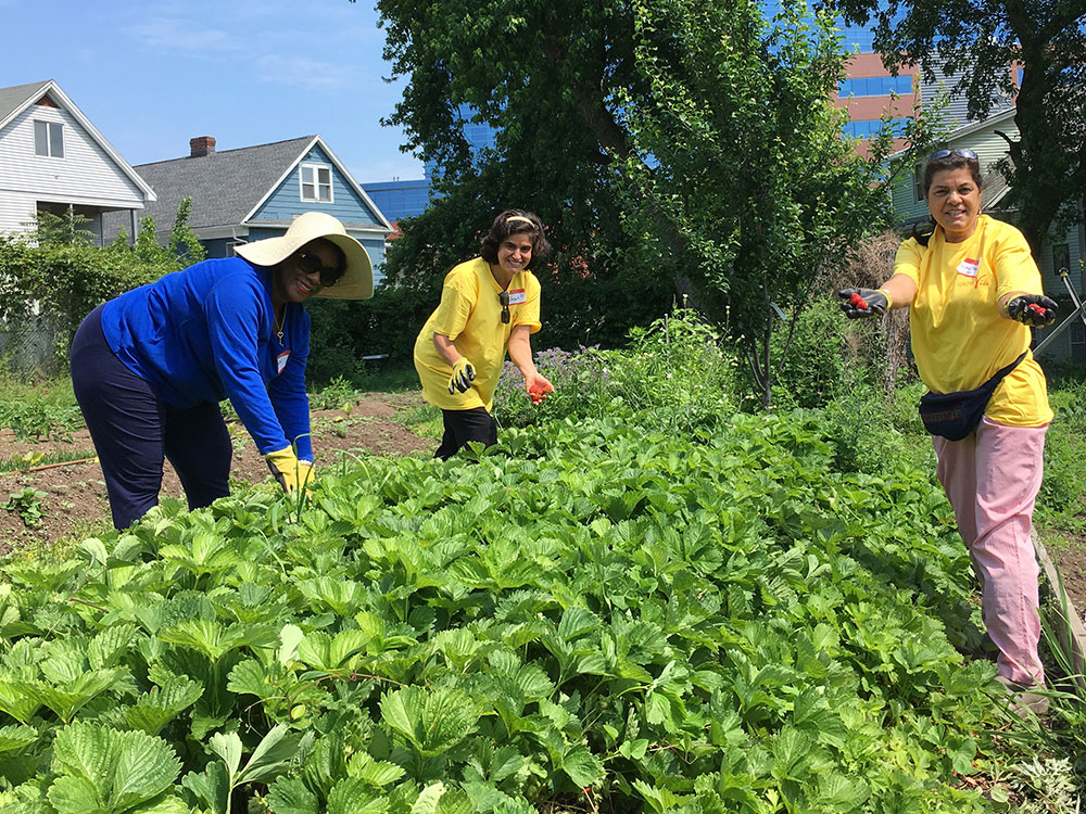 Fairgate Farm Strawberry Festival June 10, 2017