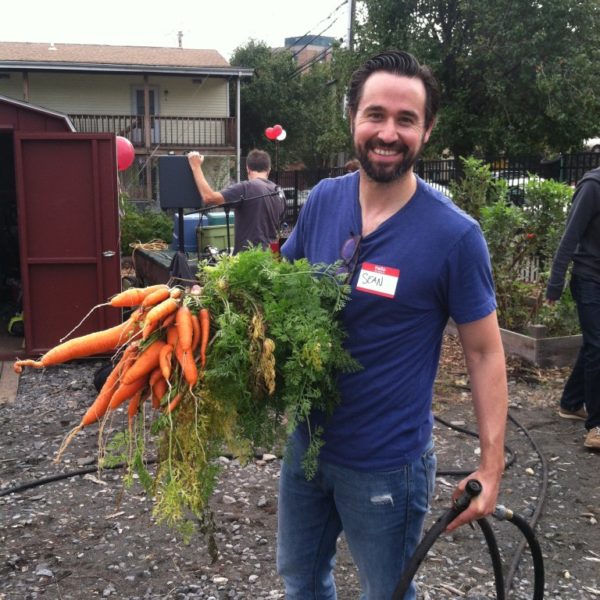 Volunteering at Fairgate Farm