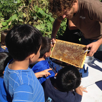 Parents as Co-Educators Families Visit Fairgate Farm