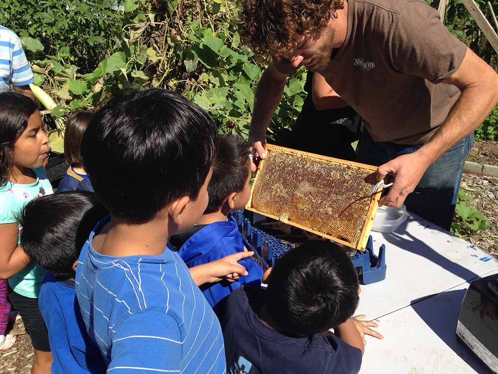 Parents as Co-Educators Families Visit Fairgate Farm