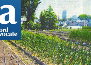 A large arbor dedicated to Anthony Pellicci, the popular West Side restaurant owner who died in 2014, is planned for Fairgate Farm.