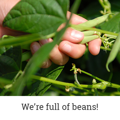 Volunteer at Fairgate Farm