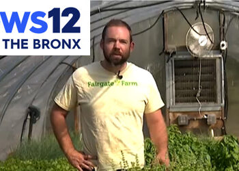 News 12 - Fairgate Farm Local Produce Featured in Restaurant Weeks